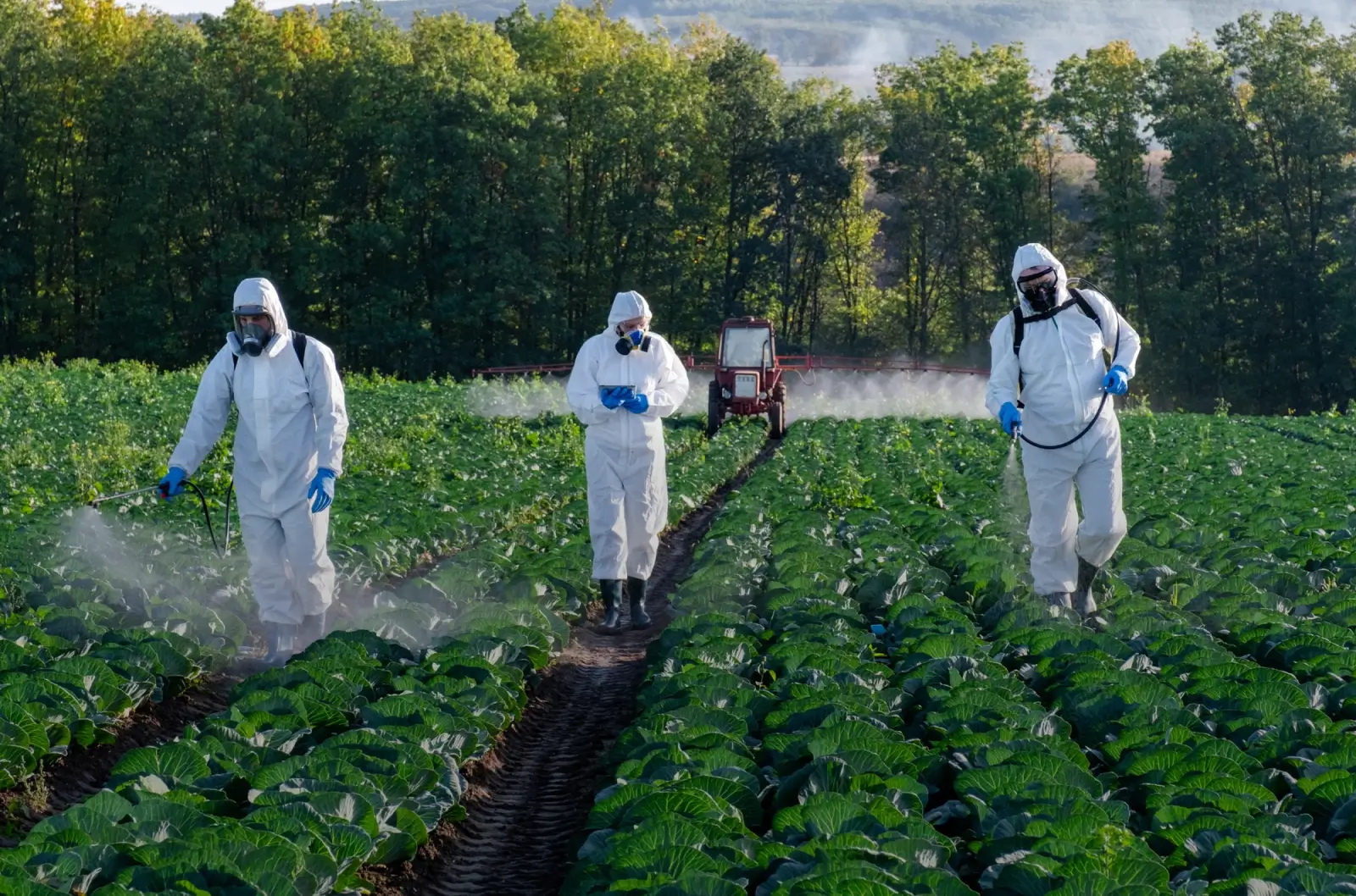 Suspendisse feugiat ornare diam