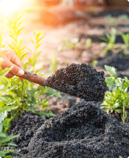Nam vitae leo fermentum ante dignissim tincidunt. Suspendisse laoreet metus nec arcu