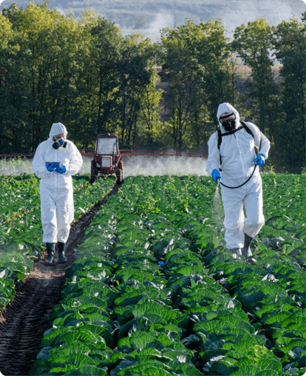 Nam vitae leo fermentum ante dignissim tincidunt. Suspendisse laoreet metus nec arcu