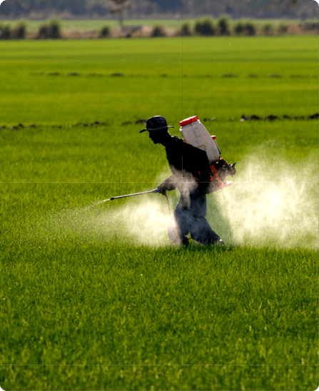 Nam vitae leo fermentum ante dignissim tincidunt. Suspendisse laoreet metus nec arcu